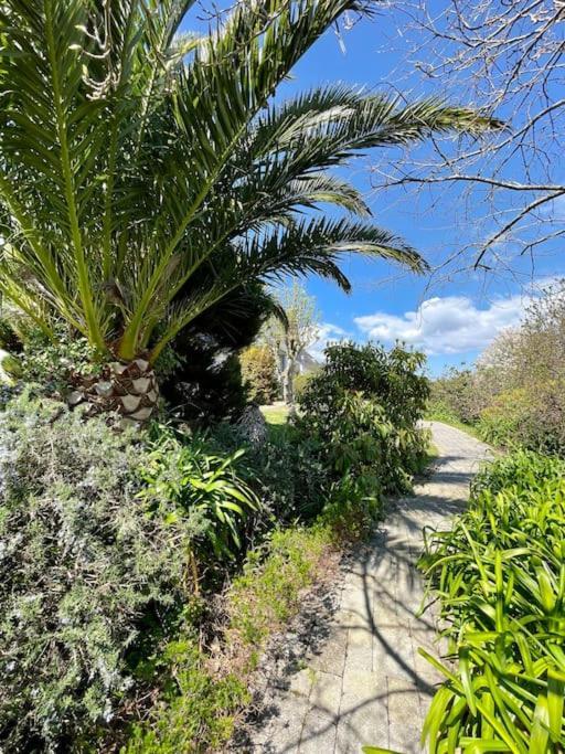 Les Agapanthes - Vue Mer Roscanvel Exterior foto